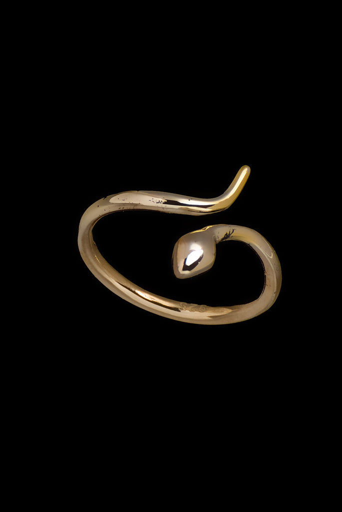 Small Ring Snake Catt